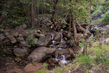 HJRW_20150925_DSC0879.jpg HJRW_20150925_DSC0879.jpg