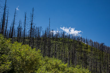 HJRW_20150926_DSC1379.jpg HJRW_20150926_DSC1379.jpg