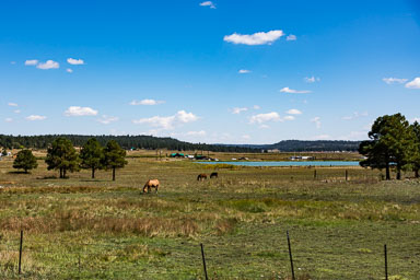 HJRW_20150926_DSC1399.jpg HJRW_20150926_DSC1399.jpg