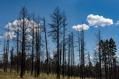 HJRW_20150926_DSC1448.jpg HJRW_20150926_DSC1448.jpg