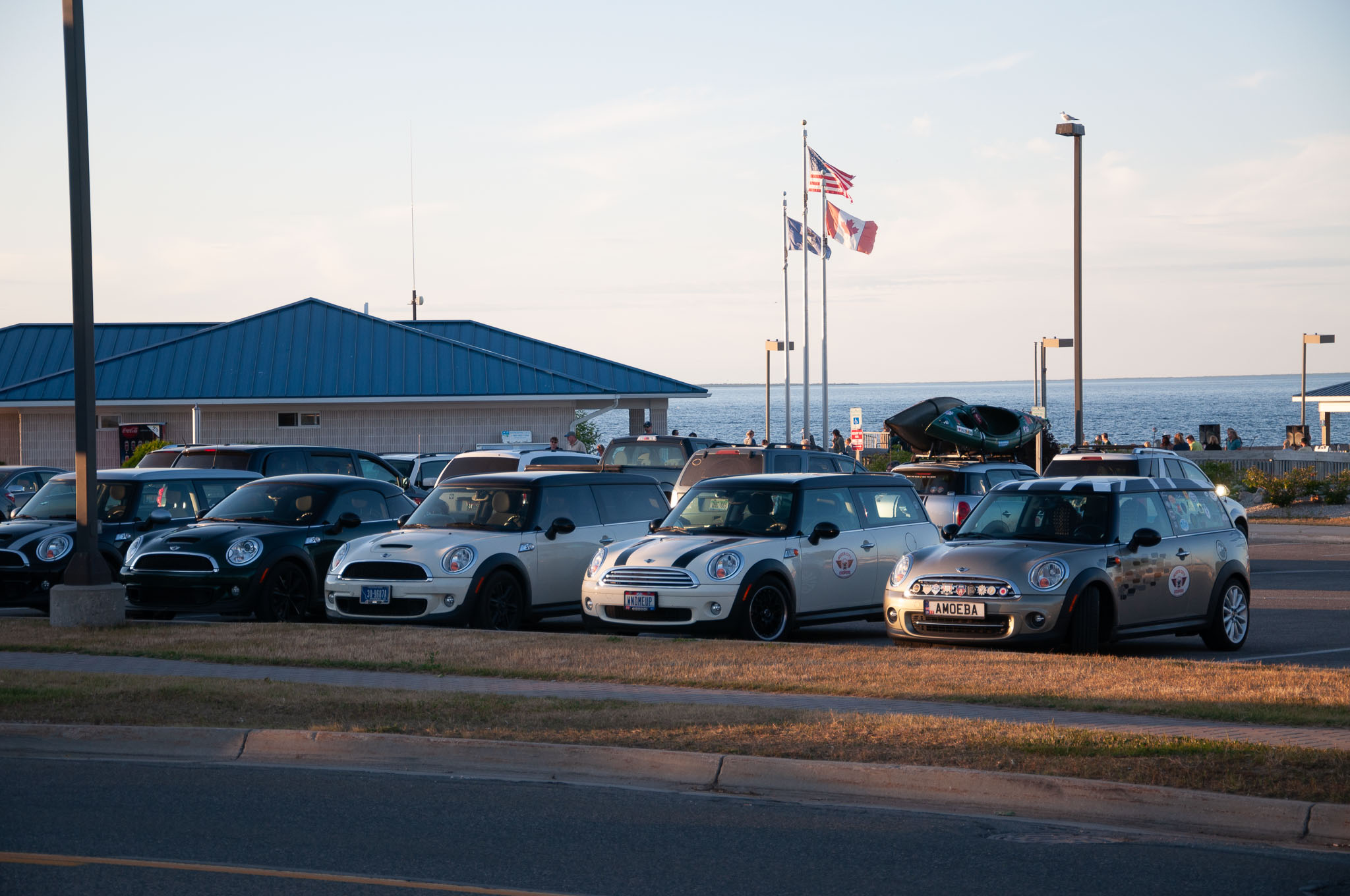DSC_7428.jpg