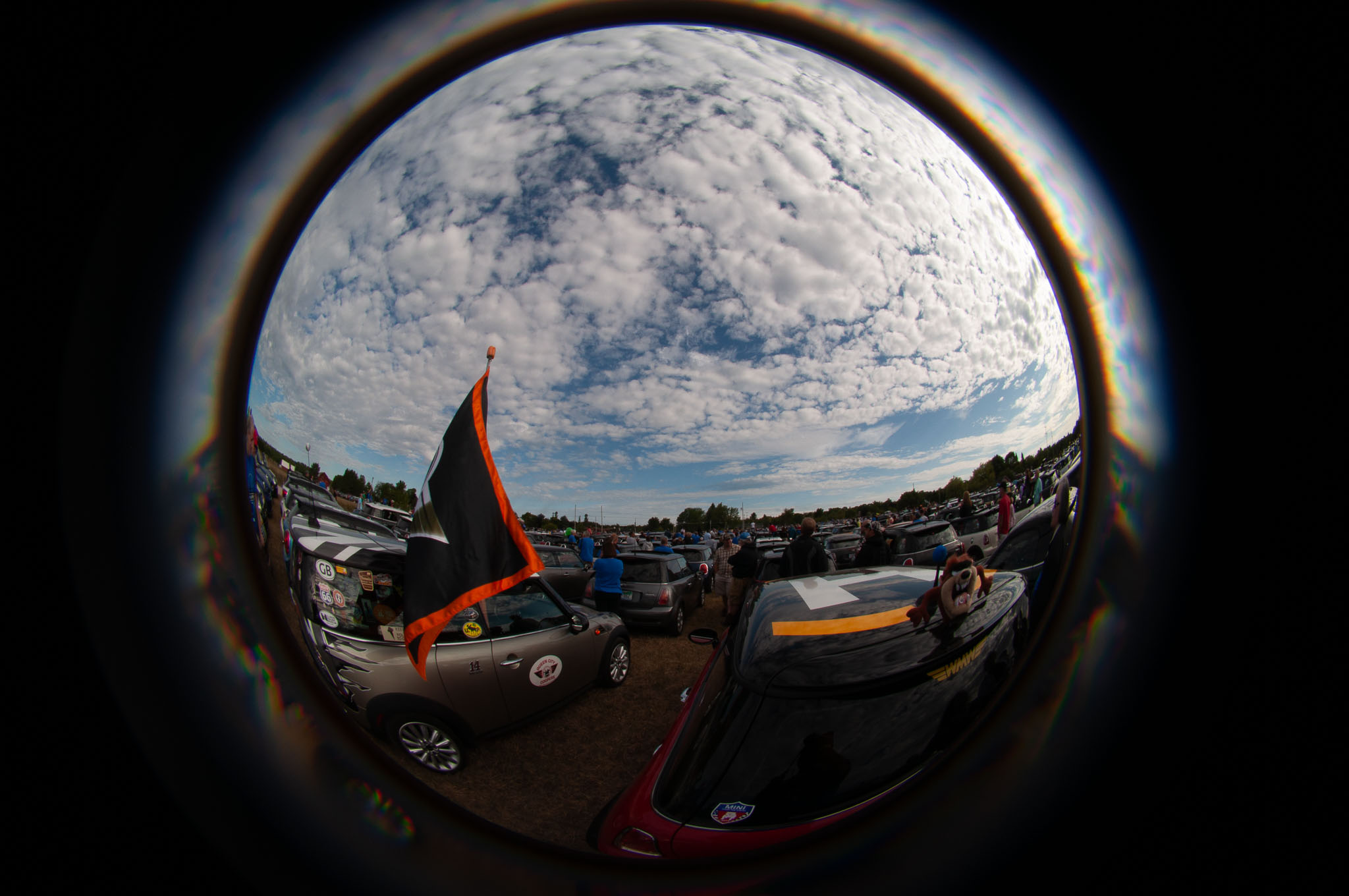 DSC_7658.jpg