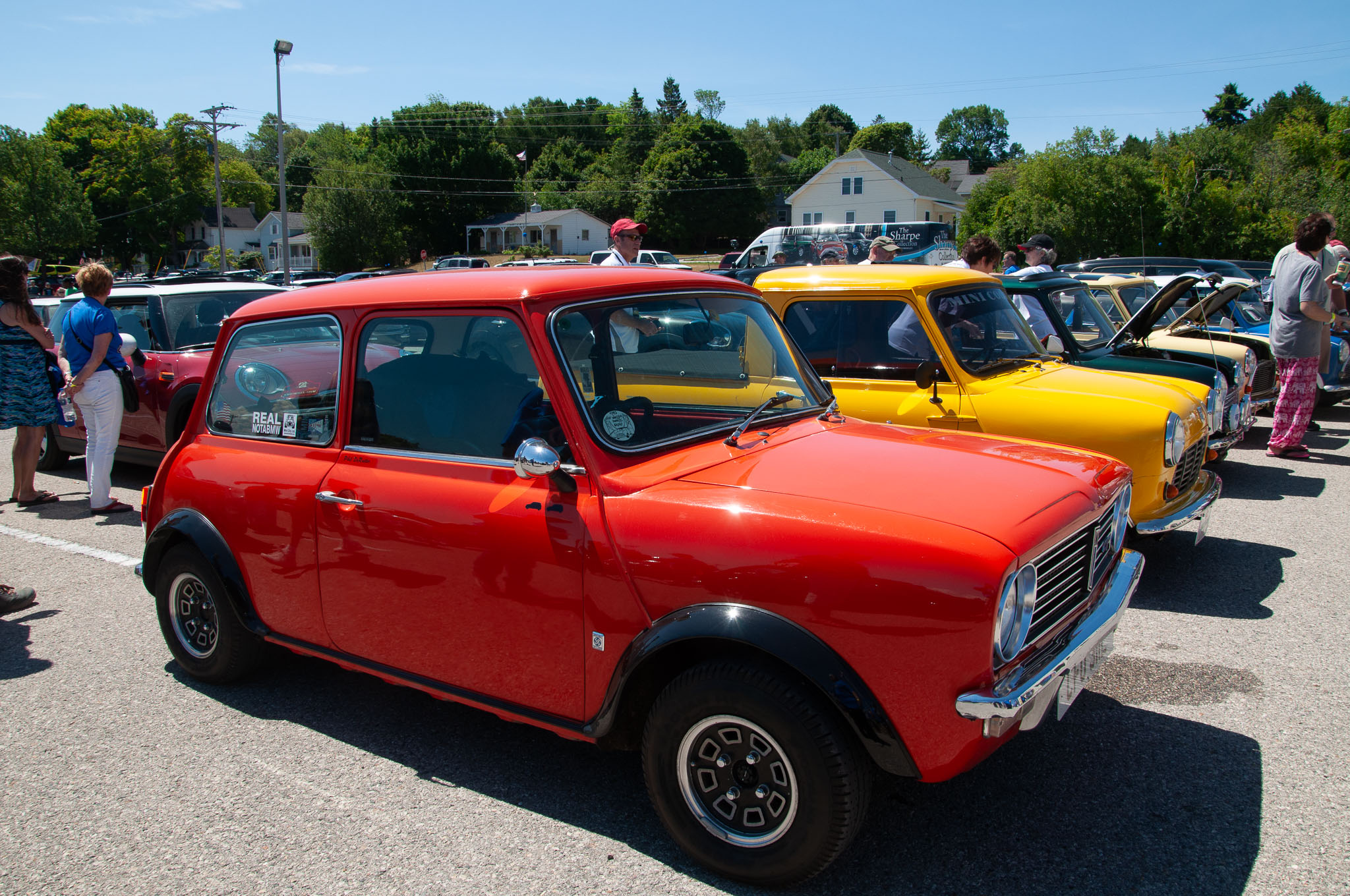 DSC_7782.jpg