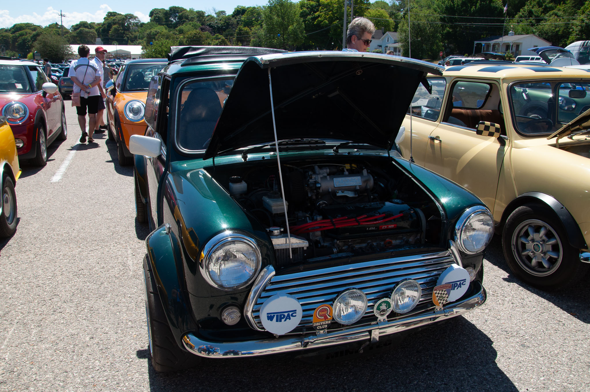 DSC_7785.jpg