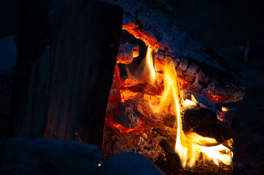 DSC_7453.jpg DSC_7453.jpg