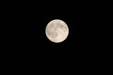 DSC_7456.jpg DSC_7456.jpg