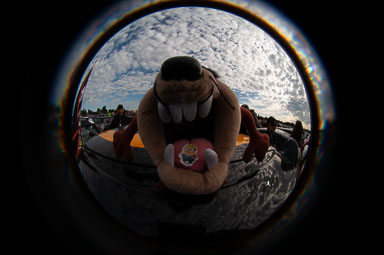 DSC_7653.jpg DSC_7653.jpg