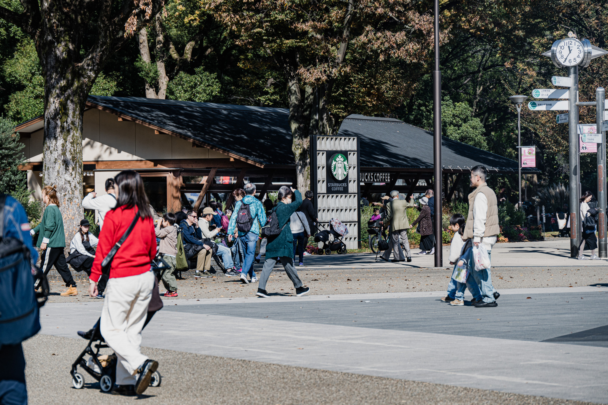 Japan_20241108_DSC_00019.jpg