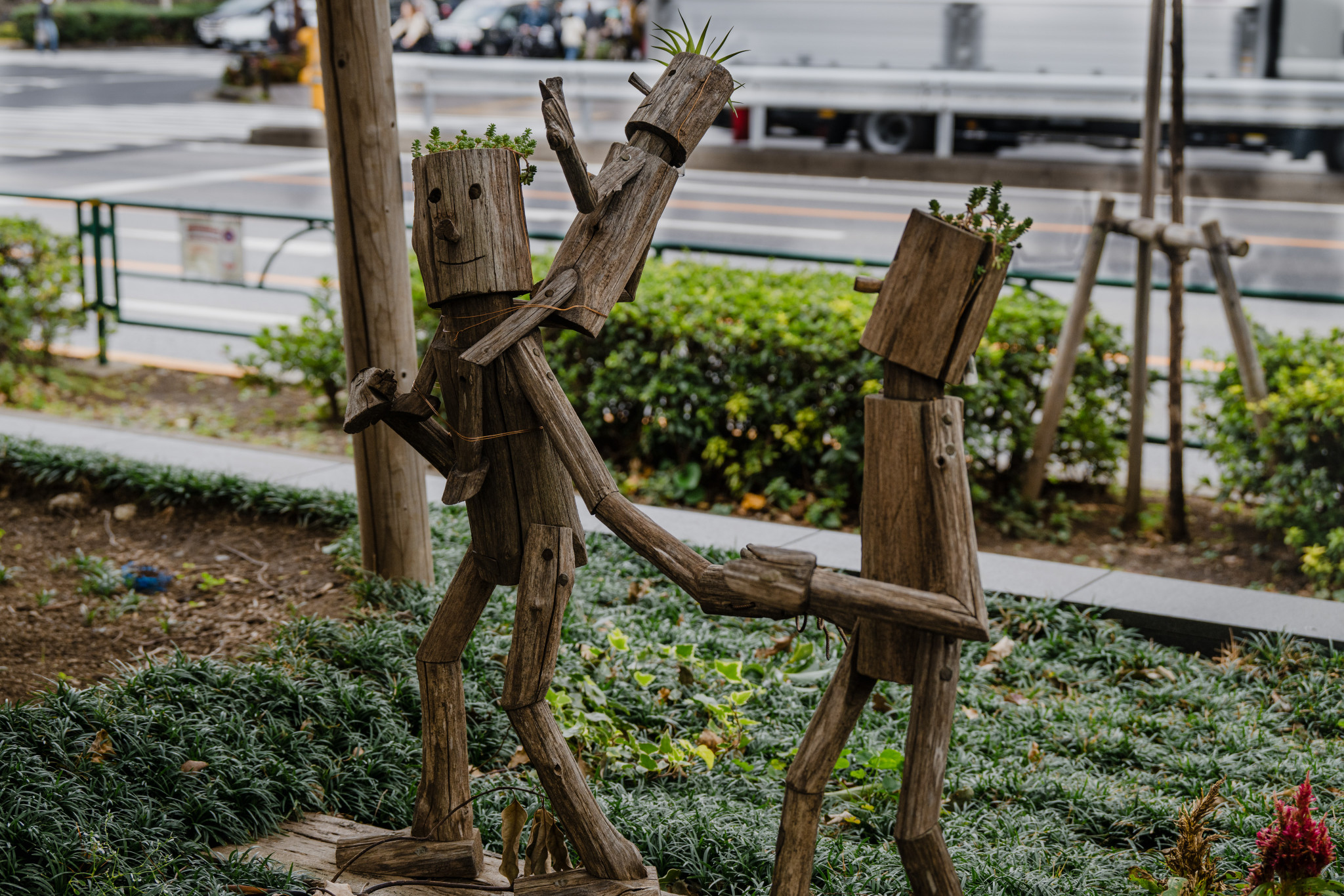 Japan_20241108_DSC_00029.jpg