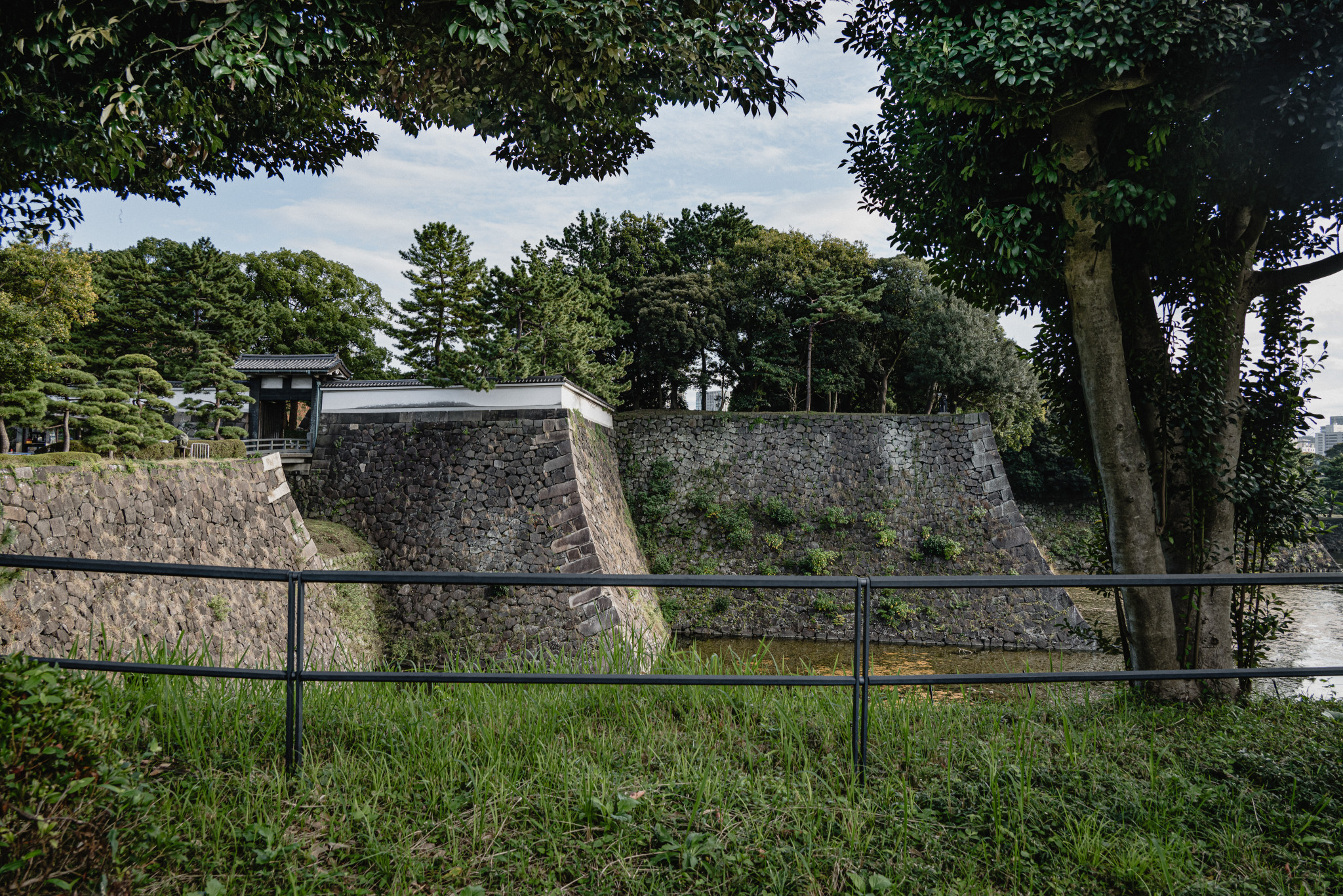 Japan_20241108_DSC_00033.jpg