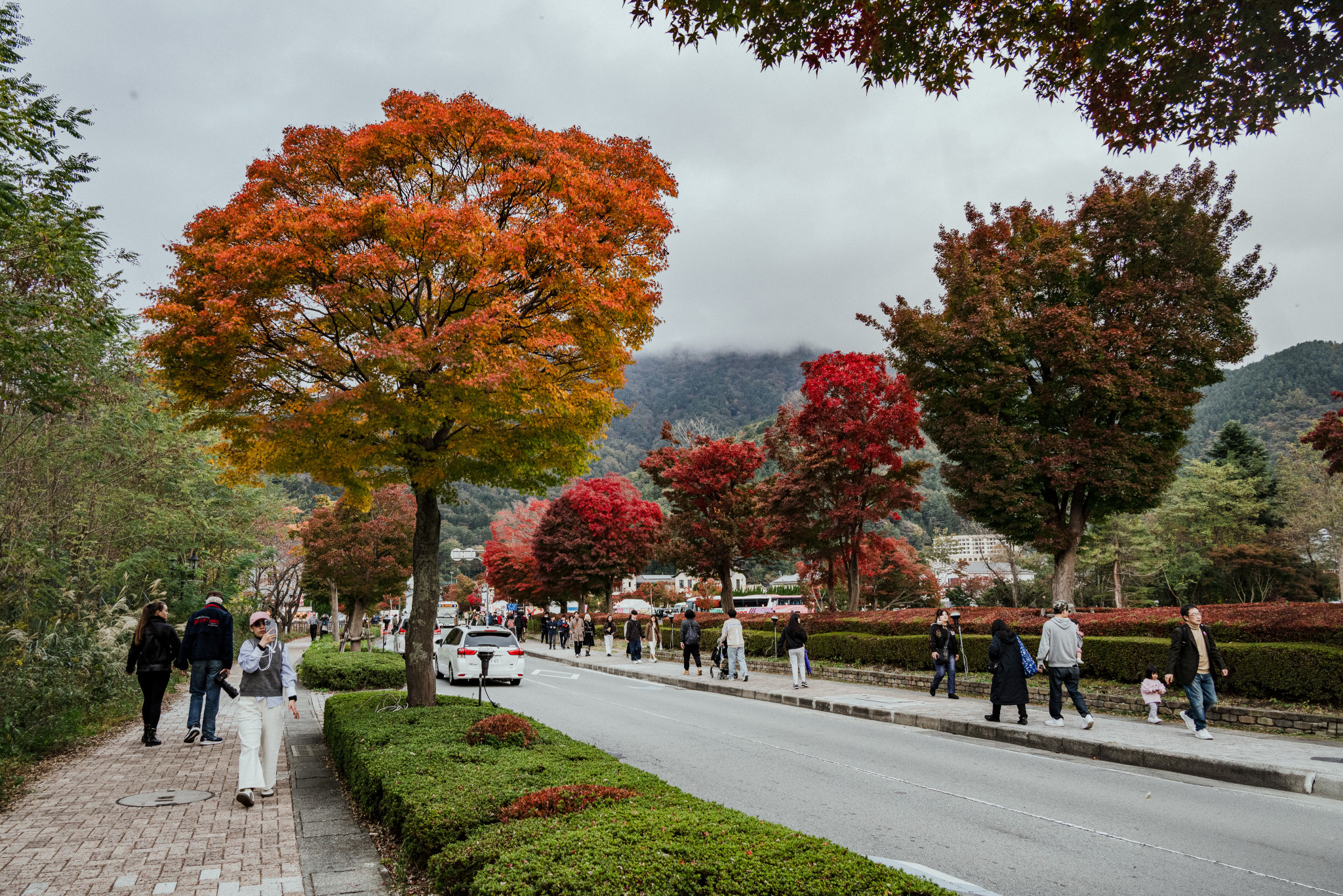 Japan_20241109_DSC_00050.jpg