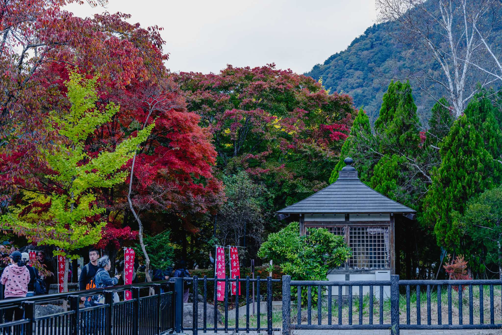 Japan_20241109_DSC_00054.jpg