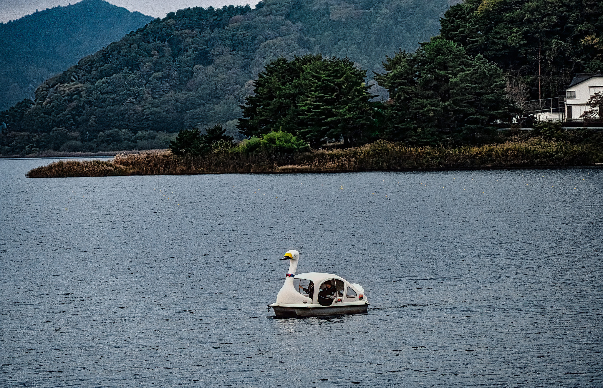 Japan_20241109_DSC_00079-Edit-Edit.jpg