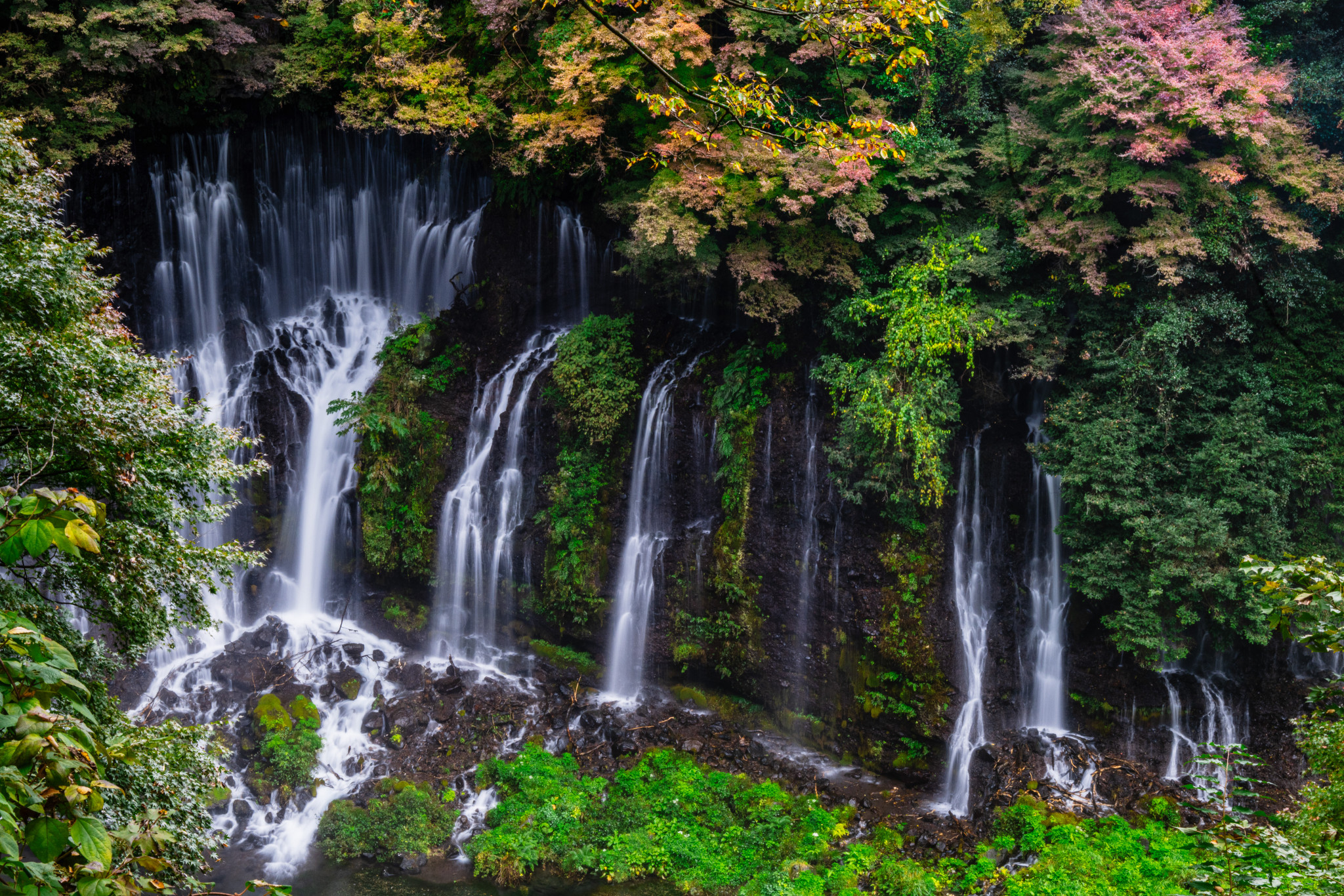 Japan_20241110_DSC_00121-Edit.jpg