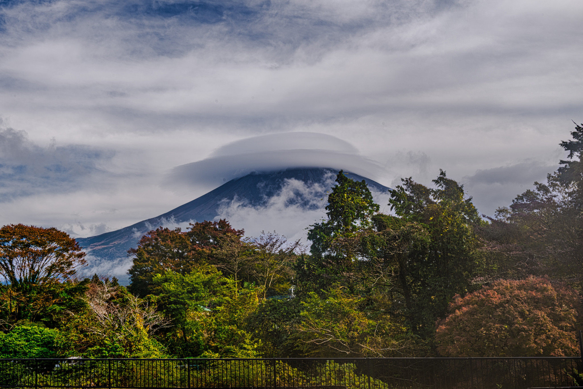 Japan_20241110_DSC_00243-Edit.jpg