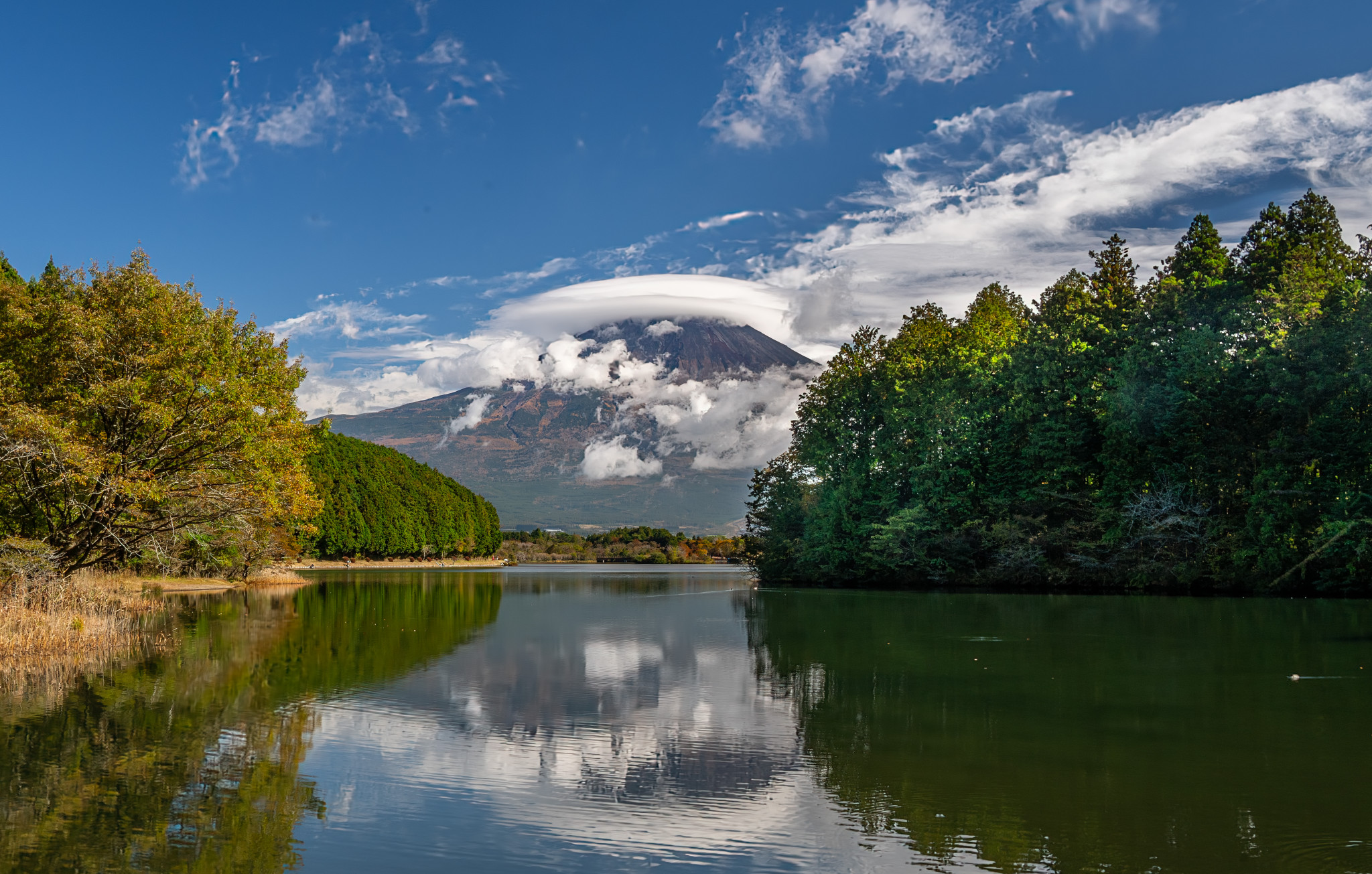 Japan_20241110_DSC_00273-Edit.jpg