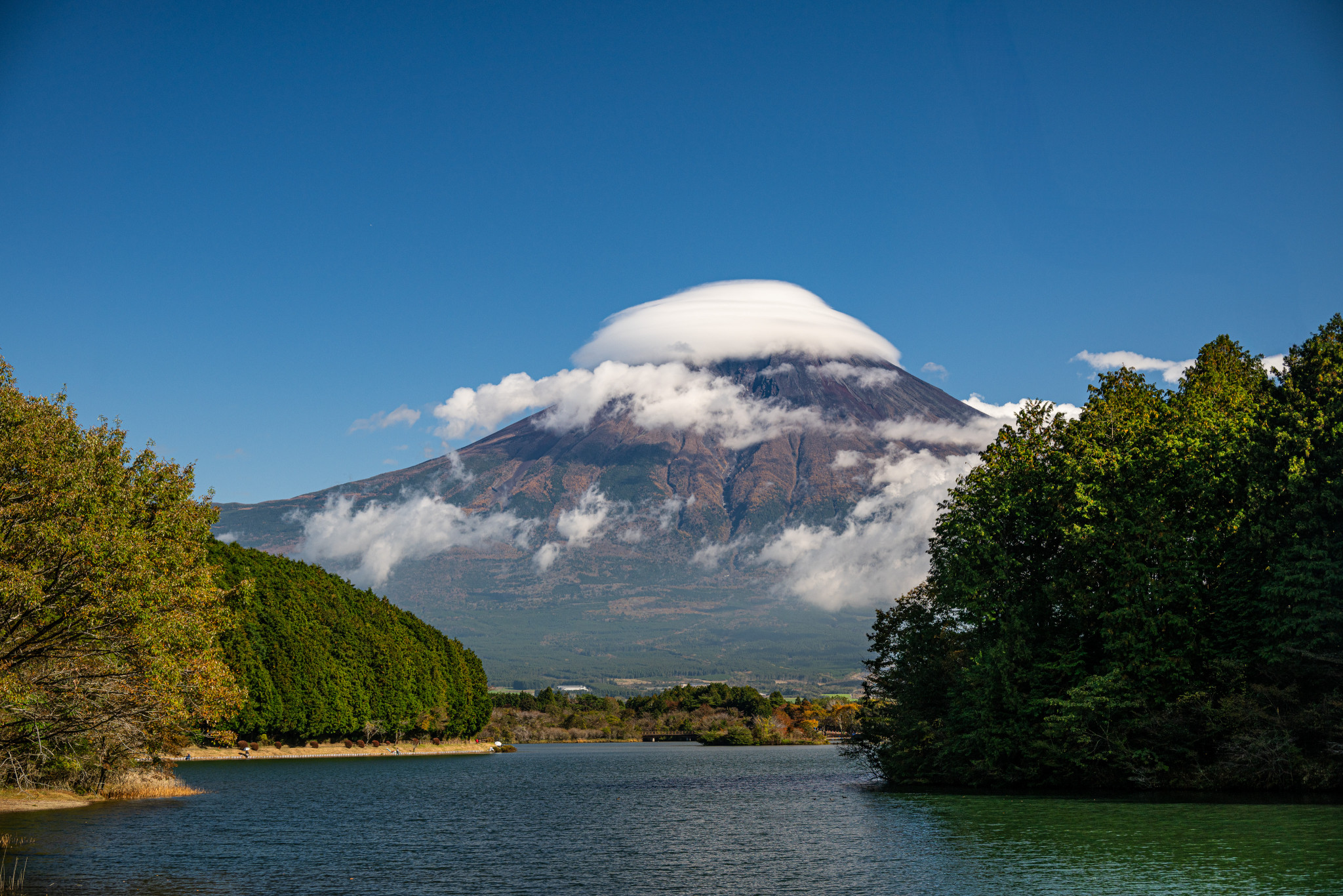 Japan_20241110_DSC_00303.jpg