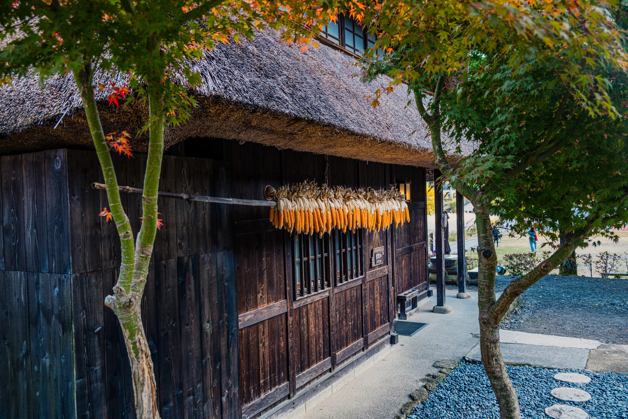 Japan_20241110_DSC_00324.jpg