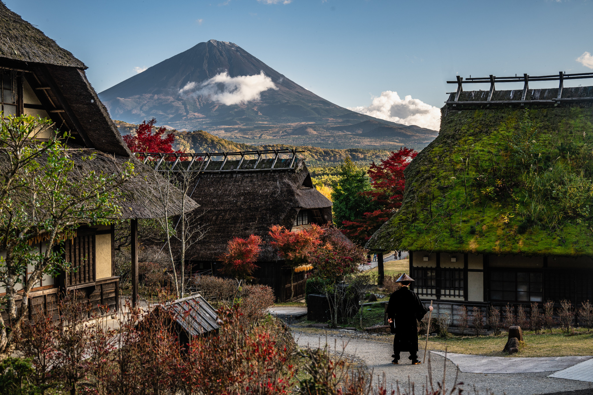 Japan_20241110_DSC_00342.jpg