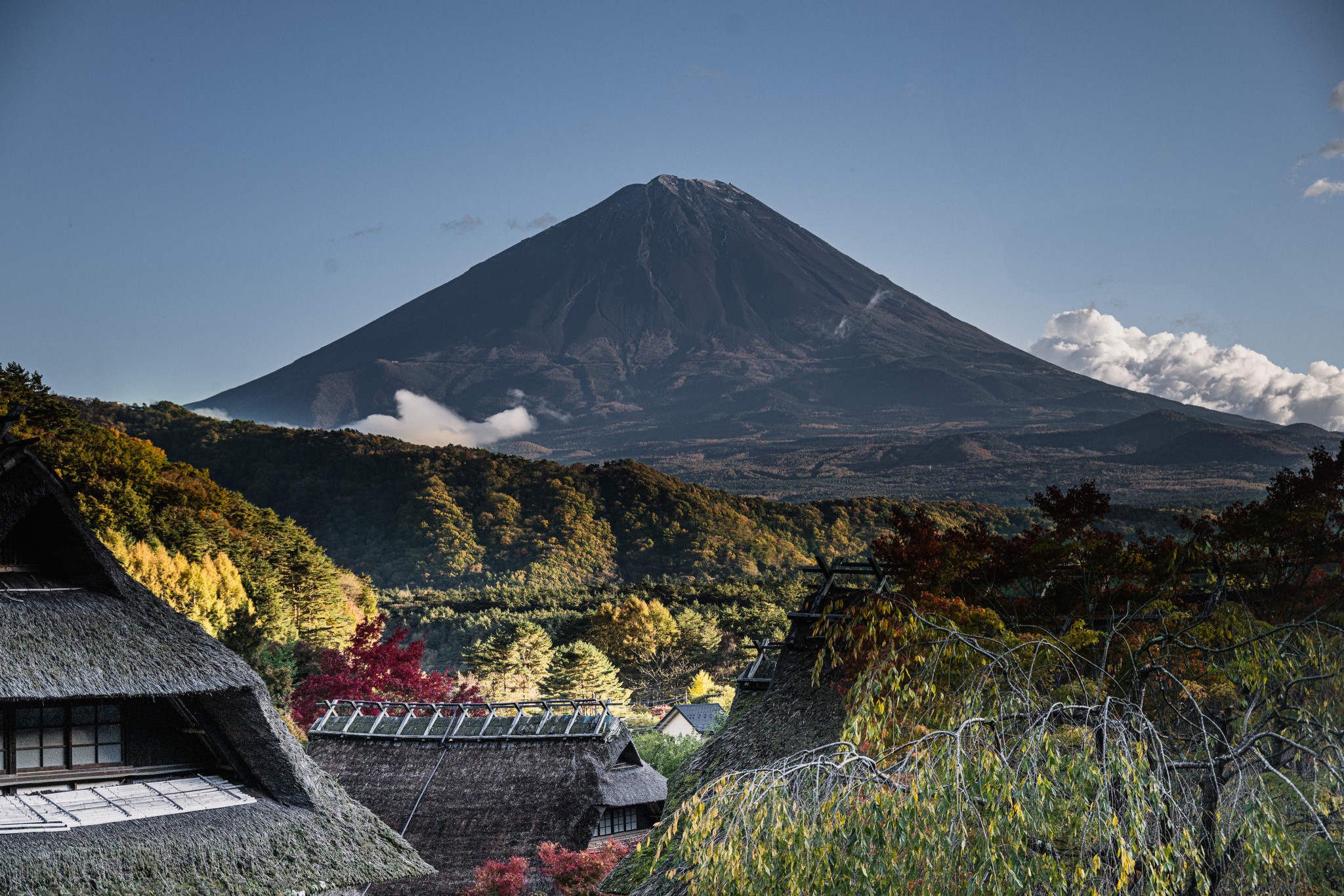 Japan_20241110_DSC_00393.jpg