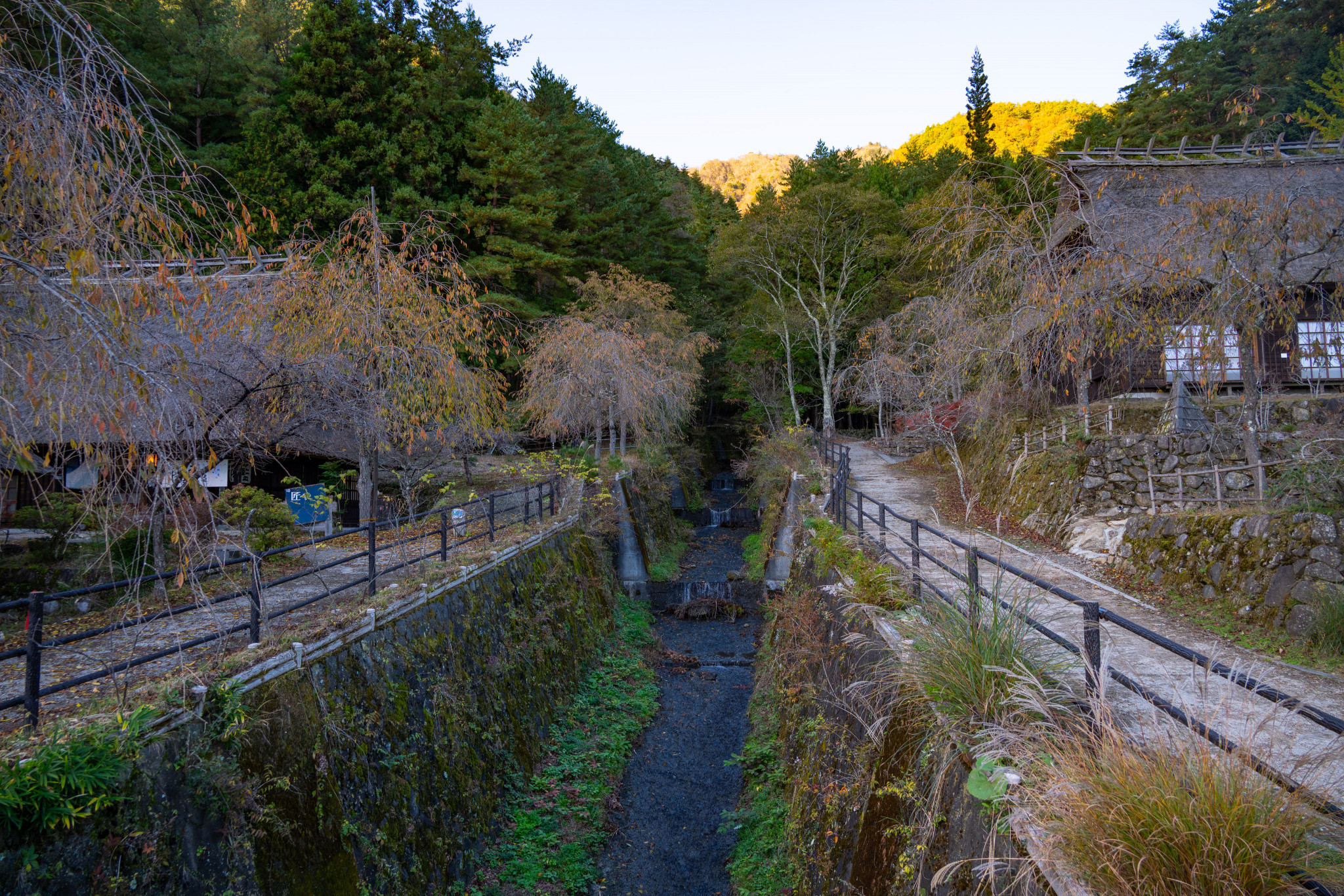 Japan_20241110_DSC_00396.jpg