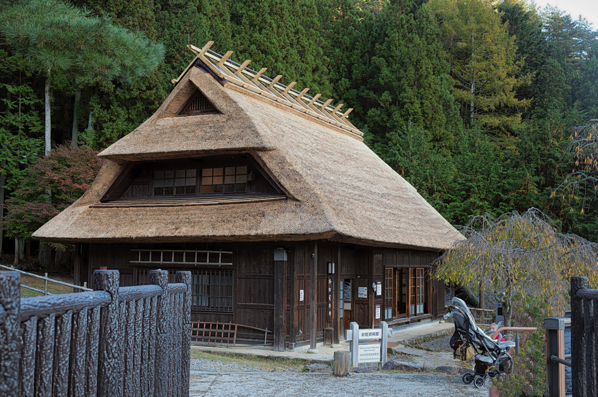 Japan_20241110_DSC_00400-Edit.jpg