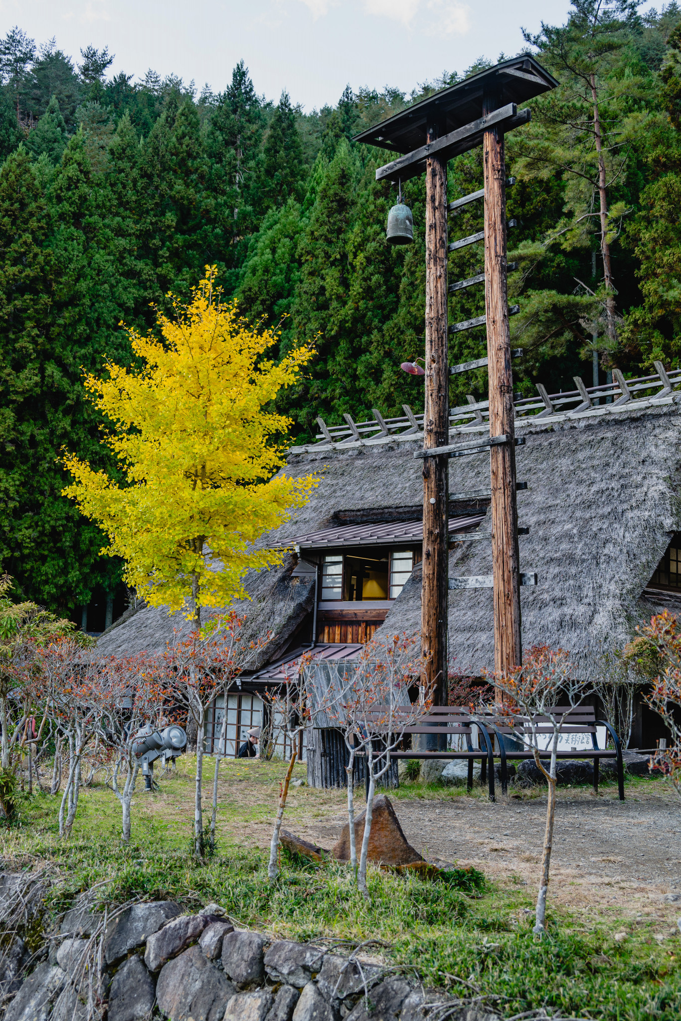 Japan_20241110_DSC_00402.jpg