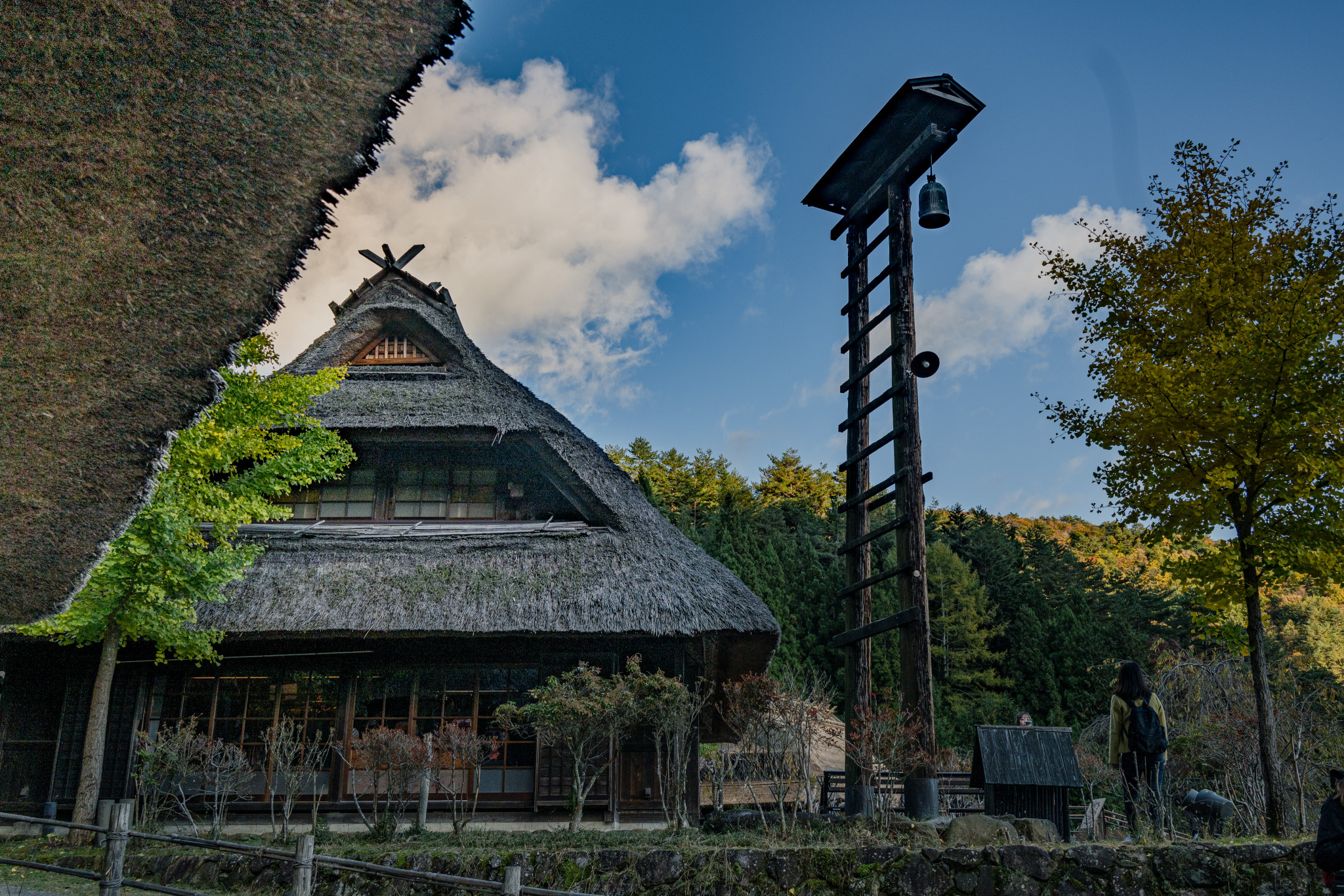 Japan_20241110_DSC_00408.jpg