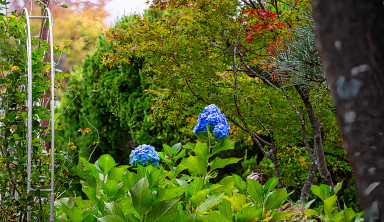 Japan_20241109_DSC_00075-Edit.jpg Japan_20241109_DSC_00075-Edit.jpg