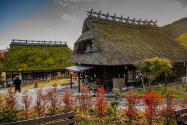 Japan_20241110_DSC_00350-Edit.jpg Japan_20241110_DSC_00350-Edit.jpg