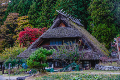 Japan_20241110_DSC_00405-Edit.jpg Japan_20241110_DSC_00405-Edit.jpg